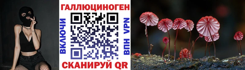 ОМГ ОМГ онион  Староминская  Псилоцибиновые грибы прущие грибы 